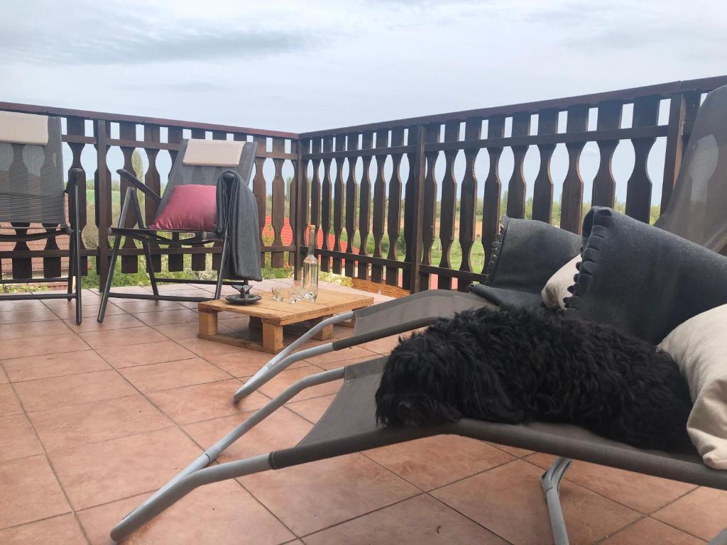 Posezení v ubytování Balaton Apartman Paloznak