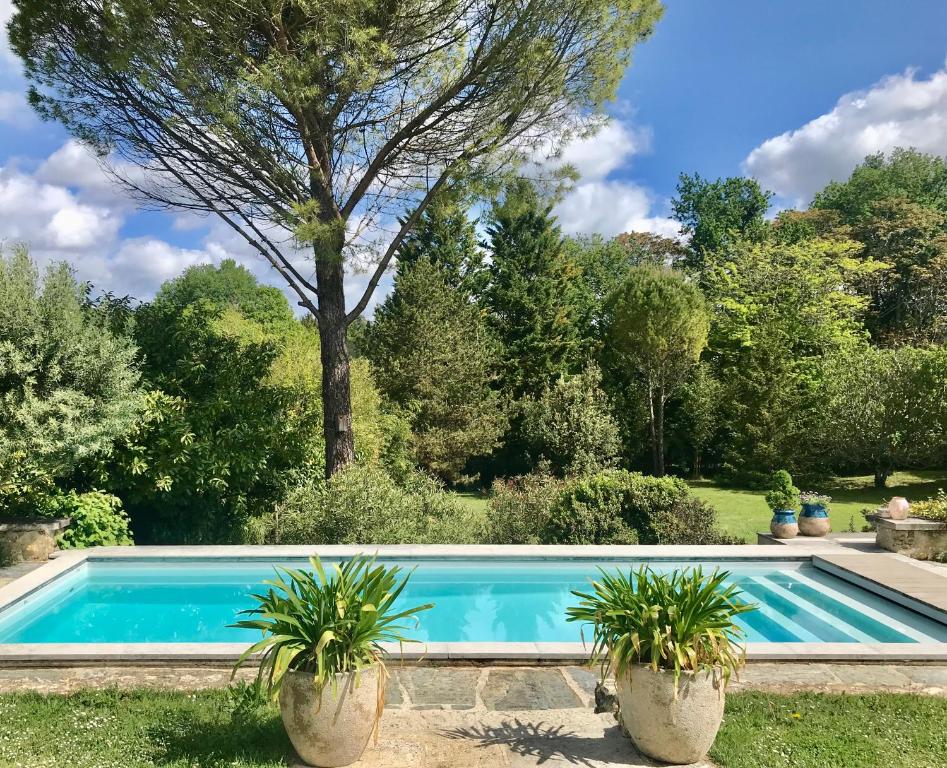 een zwembad in een tuin met twee potplanten bij Le Domaine de Camblanes in Camblanes-et-Meynac