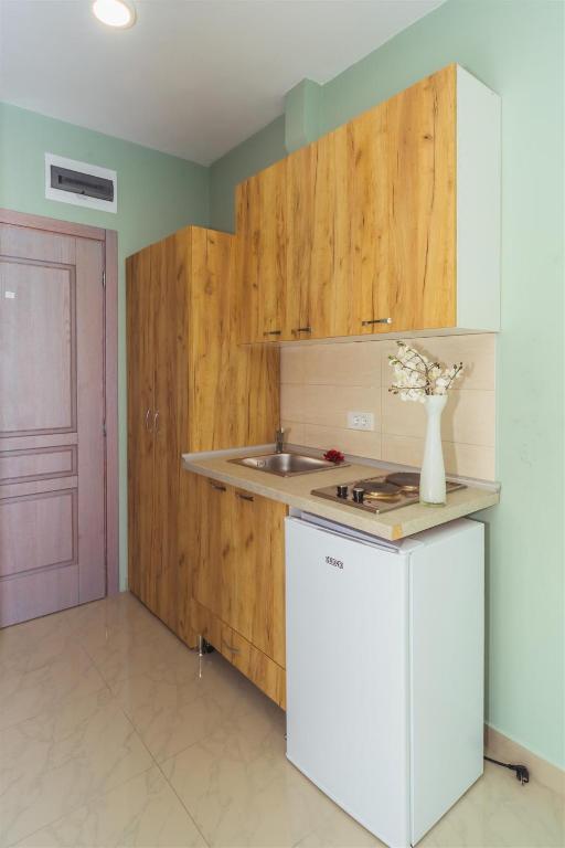 Kuchyň nebo kuchyňský kout v ubytování ApartHotel Solaris