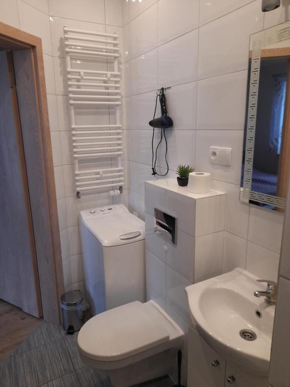 Apartamenty U Elizy - Studio Apartment
