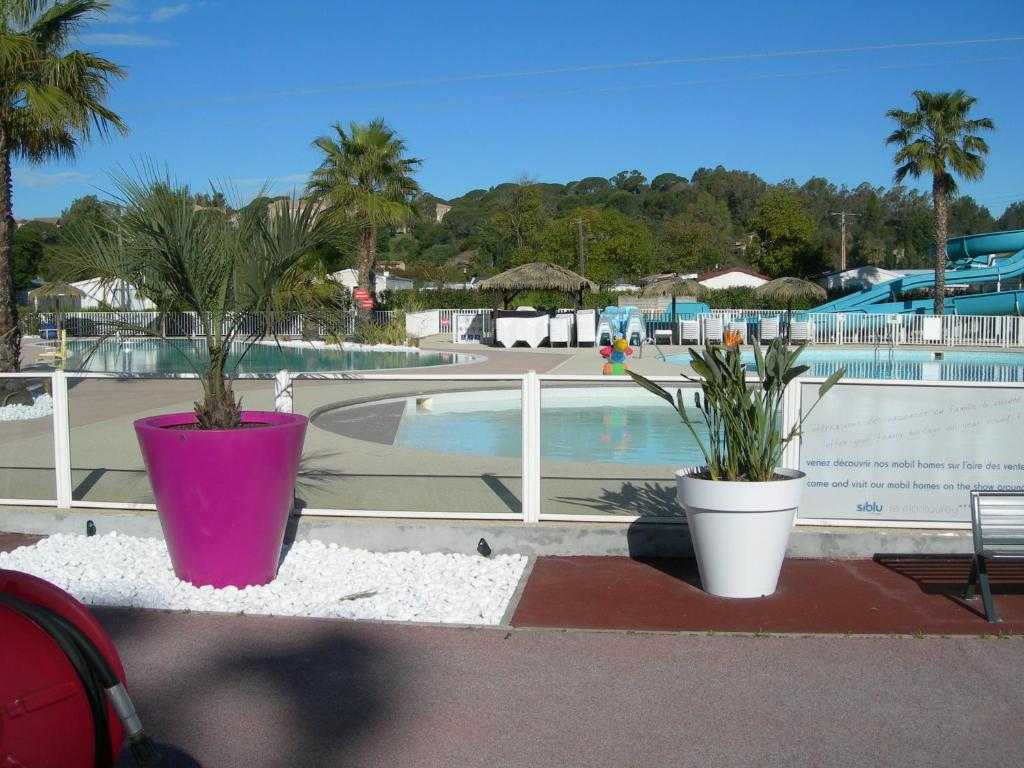 two potted plants sitting next to a swimming pool at camping le montourey à fréjus 83600 in Fréjus