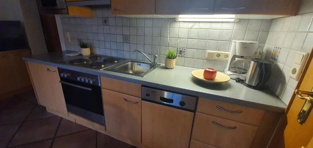 Schlosserhaus Appartements - 5