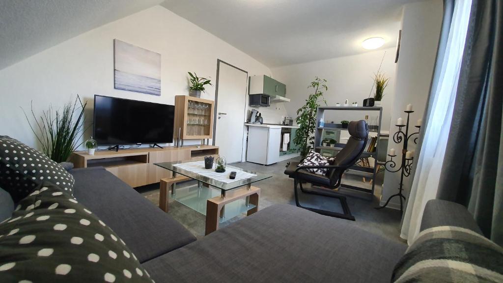 a living room with a couch and a tv at Ferienwohnung Elsa in Hungen