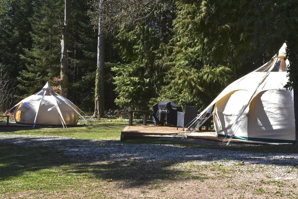 two tents in a field with trees in the background at Glamping at Camping La Source in Saint-Pierre-dʼArgençon