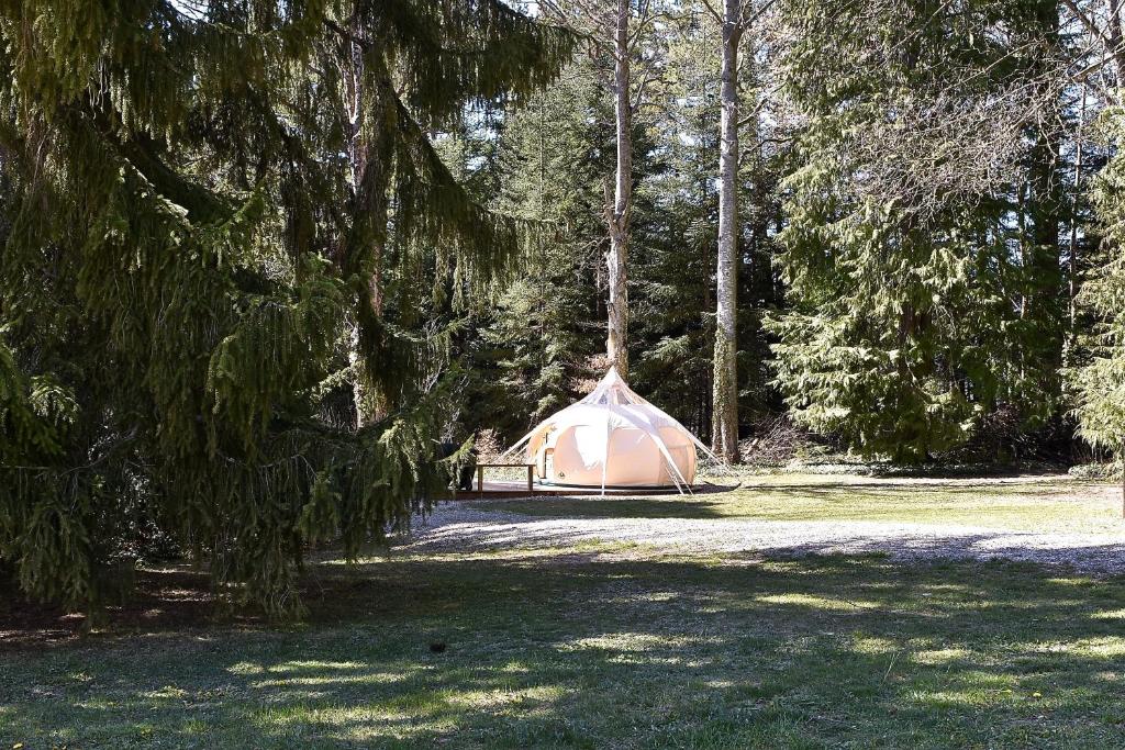 a tent in the middle of a field with trees at Glamping at Camping La Source in Saint-Pierre-dʼArgençon