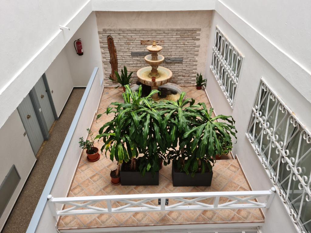 Apartamentos Catalina Park, Las Palmas – Bijgewerkte prijzen 2023