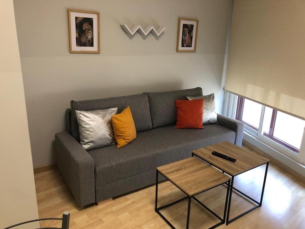 a living room with a gray couch with colorful pillows at New Studio Sito 8 Parking Gratis in Salamanca