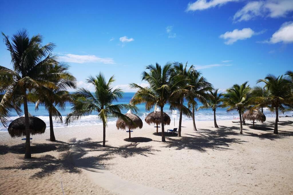 a group of palm trees on a beach with the ocean at Playa Caracol, Punta Chame, Panamá in Chame