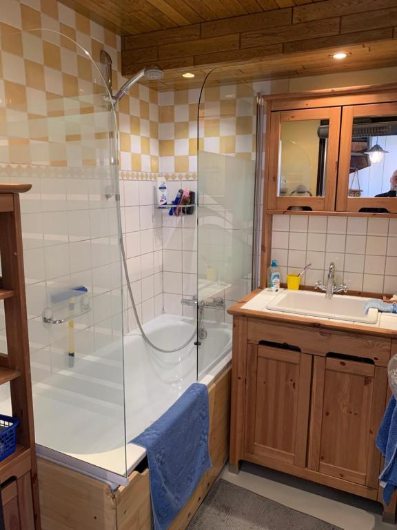a bathroom with a shower and a sink at Ysermonde Fisherman's Cottage in Nieuwpoort