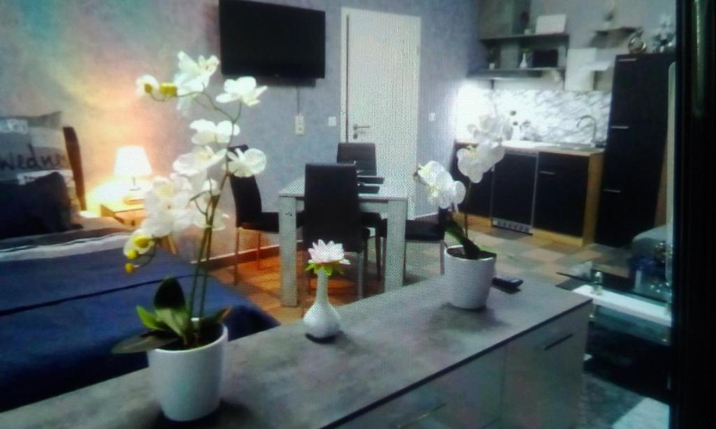 una sala de estar con tres jarrones con flores. en Orchideen Zimmer, en Wetzlar