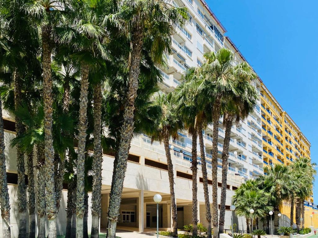 Apartamento Hermosa Glea, Dehesa De Campoamor – Bijgewerkte ...