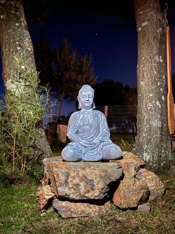 Zahrada ubytování Posada La Serena