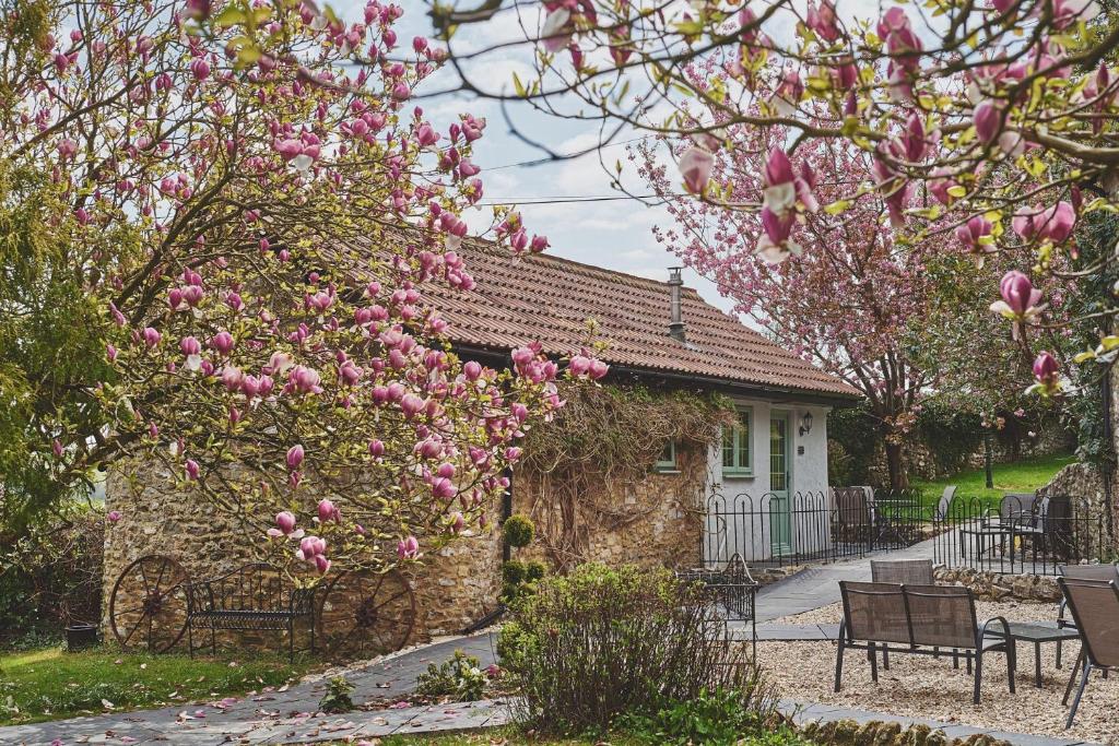 a house with pink magnolia trees in front of it at Half Moon Cottage in Stockland