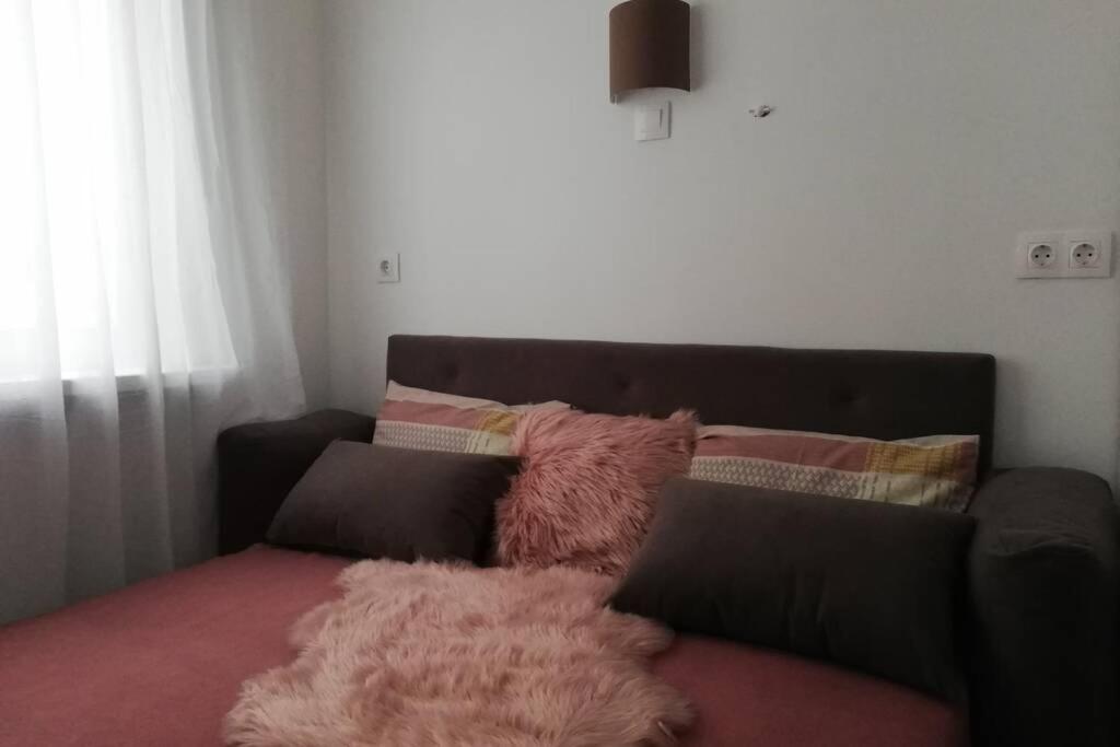 um sofá com duas almofadas e um cobertor rosa em Comfortable studio m Vokzalna em Kiev
