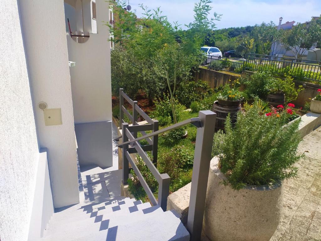 Vonkajšia záhrada v ubytovaní Apartament Oliva