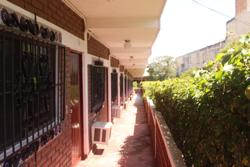 a hallway of a building with a row of plants at Hotel California in Mazatlán