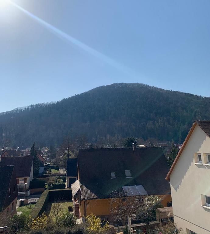 Gite "Au Pied des Vignes" à Kaysersberg – photo 34