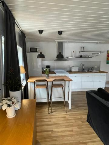 Kuchyň nebo kuchyňský kout v ubytování Lillhuset Norr Sälens By