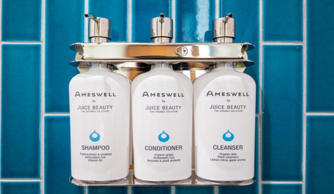 The Ameswell Hotel - 