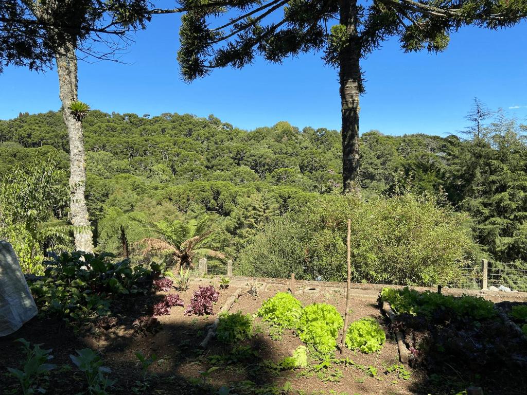  Refúgio das Nuvens - Capivari Lodge Home