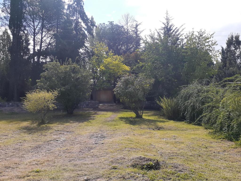 un giardino con alberi e cespugli in un cortile di Casa Elisa a Ciudad Lujan de Cuyo