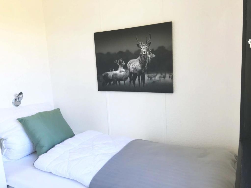 Postel nebo postele na pokoji v ubytování Komfort Ferienwohnung C4
