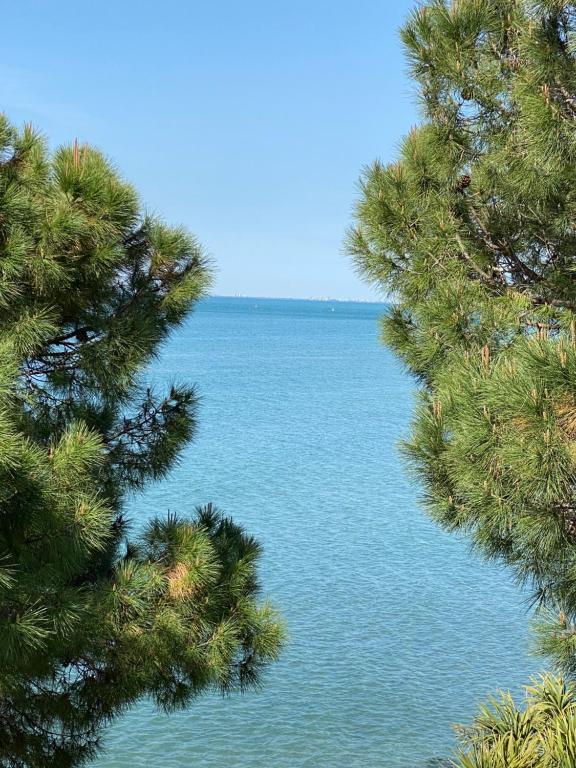 uma vista para o oceano entre duas árvores em Apartment mit Meerblick am Strand Costa Azzura em Grado