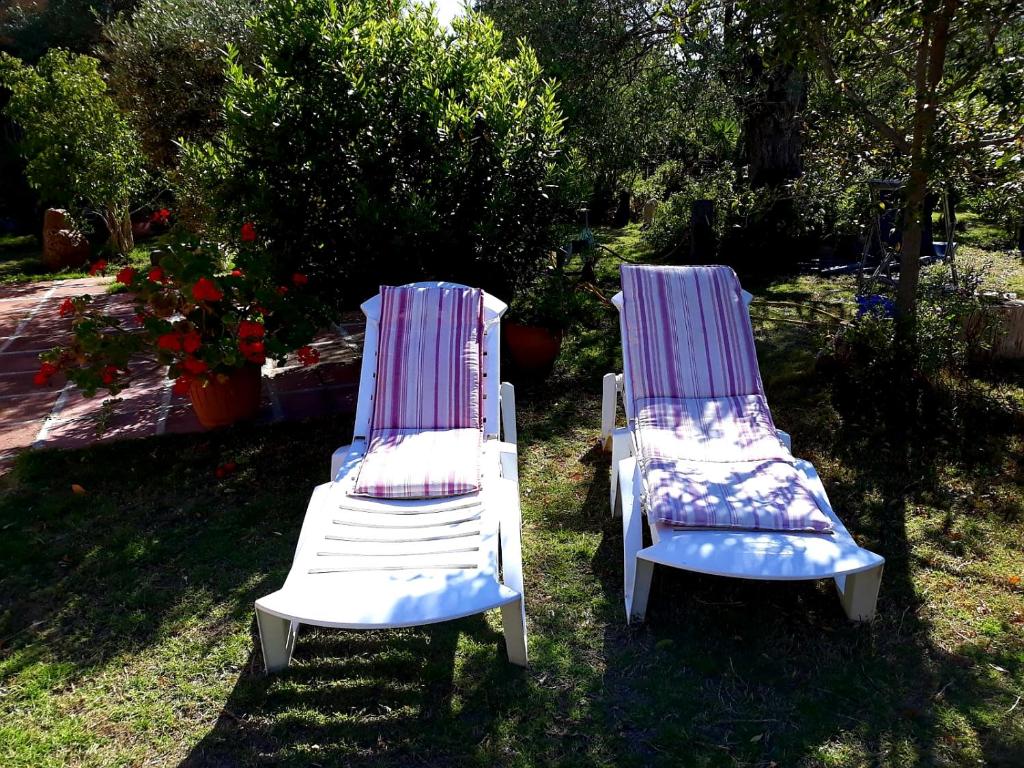 Zahrada ubytování Casa Vacanza Gaia Relax Pula