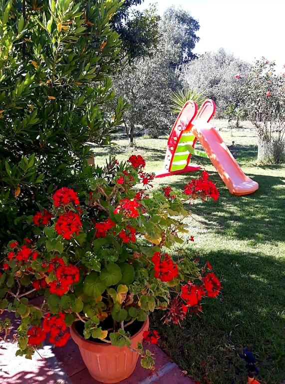 Zahrada ubytování Casa Vacanza Gaia Relax Pula