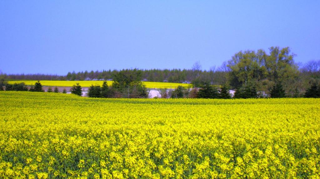 Paesaggio naturale nelle vicinanze della casa vacanze