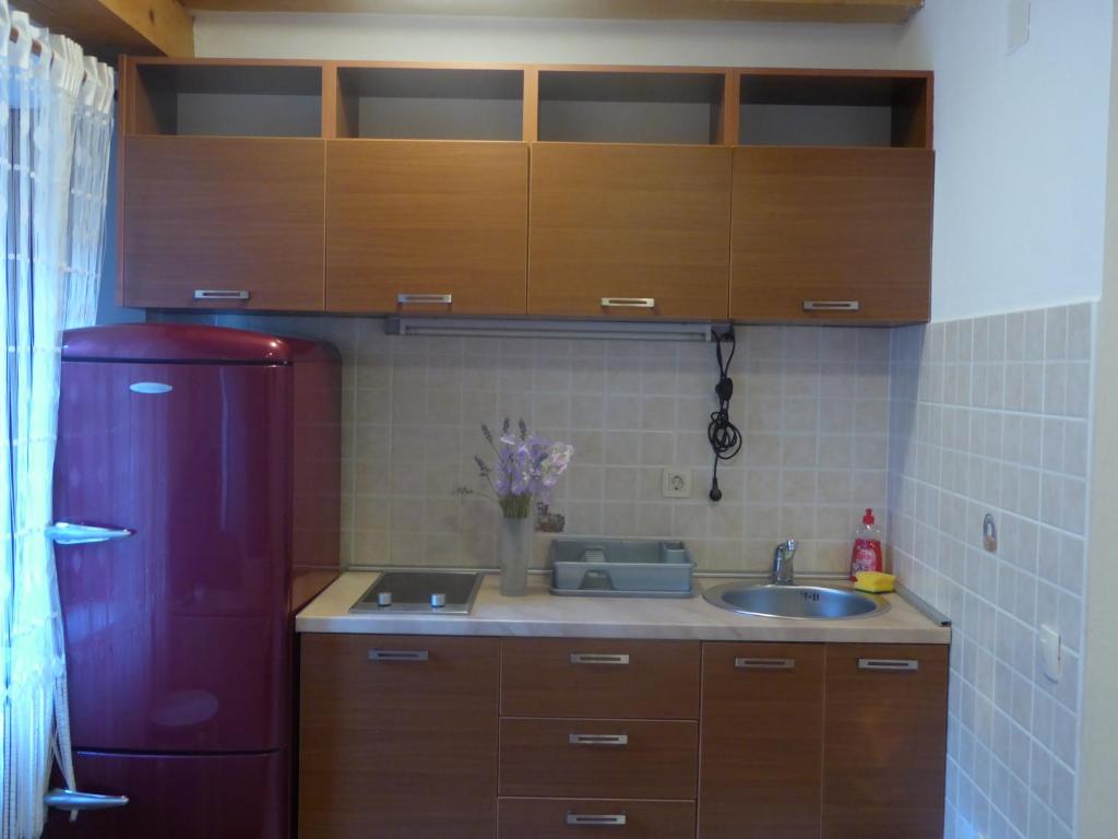 Kuchyň nebo kuchyňský kout v ubytování Apartments Đukić