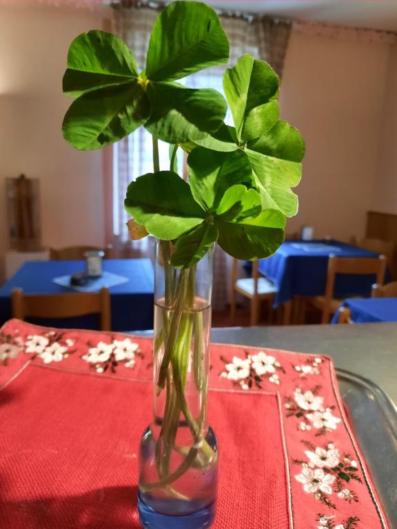 Fotografie z fotogalerie ubytování Albergo la Valle v destinaci Daone