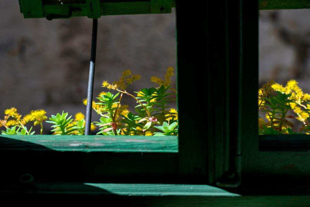 Swan Adriatic Apartment & Room - 19