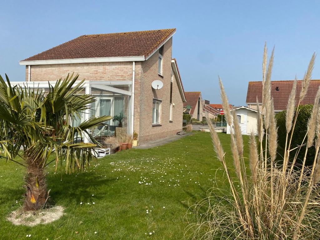 ein Haus mit einem grünen Garten mit einer Palme in der Unterkunft Hello Zeeland - Vakantiehuis Schelde 254 in Breskens