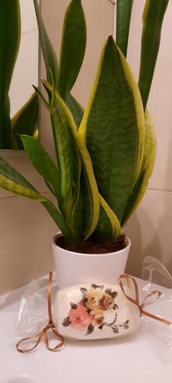 Olympic Fashion Hotels - Resim 7