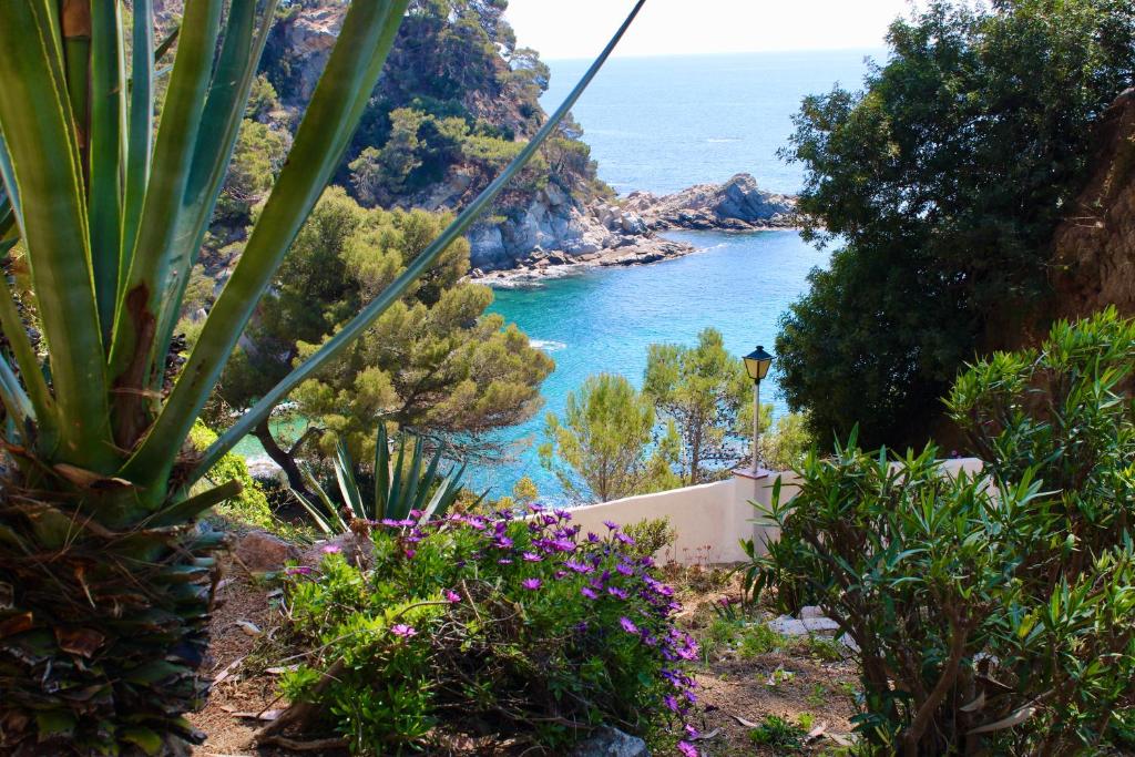 a view of the ocean from a hill with flowers at Apartamentos Cala Llevado in Tossa de Mar