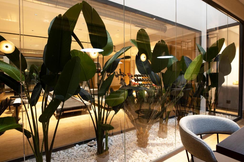 a room with a bunch of potted plants on a table at Goodnight Cádiz Apartments in Cádiz
