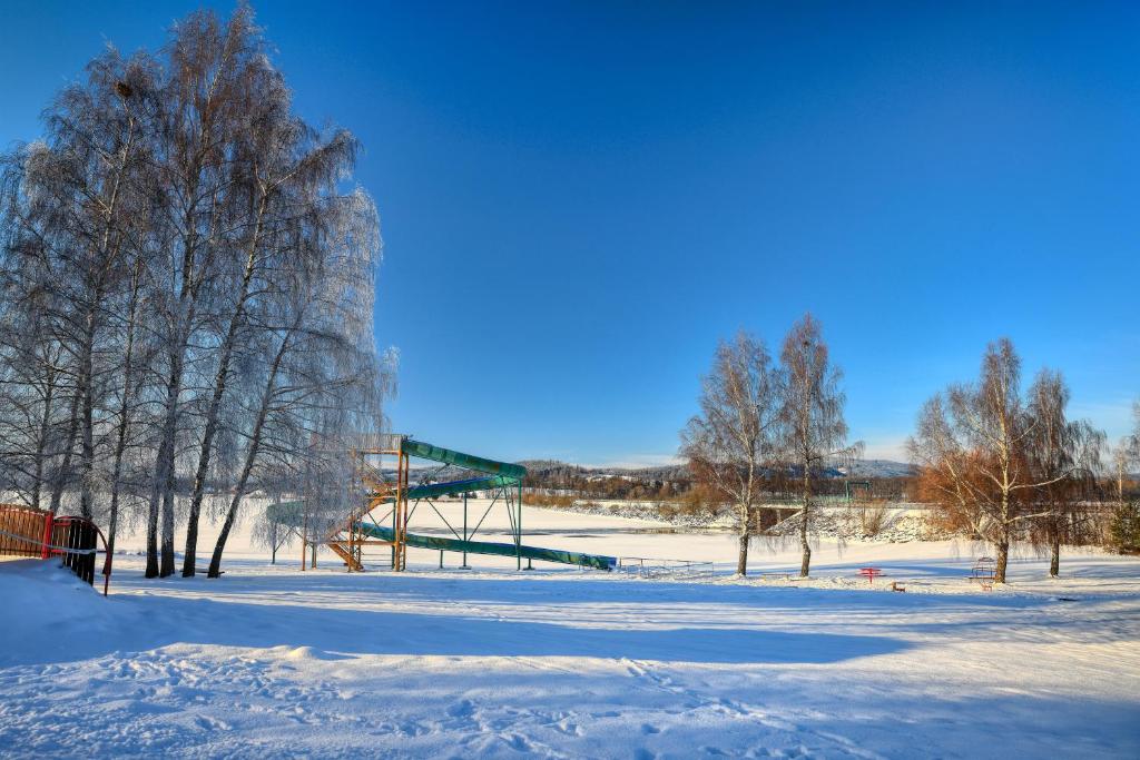a snow covered field with a basketball hoop and trees at Apartmány Panelka Costa Plana Lipno in Černá v Pošumaví