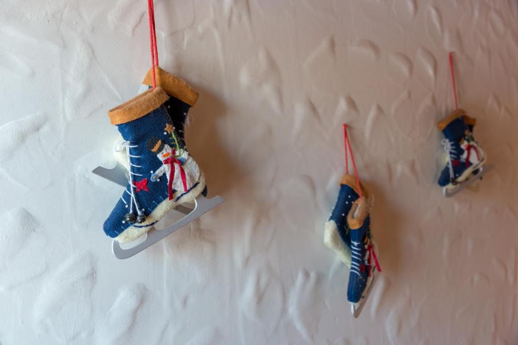 Chalet Pierre Blanche - Resim 25