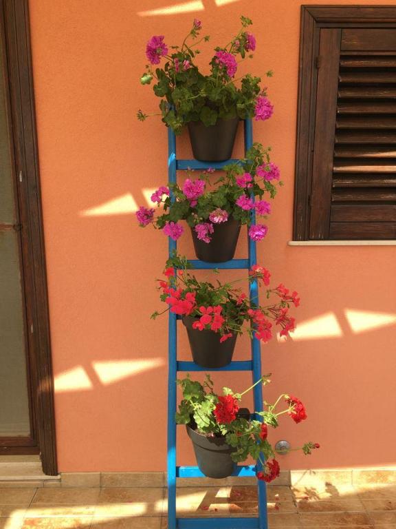 Ogród w obiekcie La stanza delle Muse in Villa con Piscina