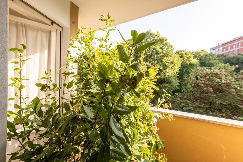 Zahrada ubytování Milano Guest House