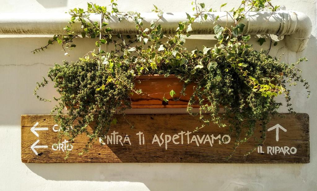 una maceta en un cartel de madera en una pared en Riparo di Masseria Urbana en Crispiano