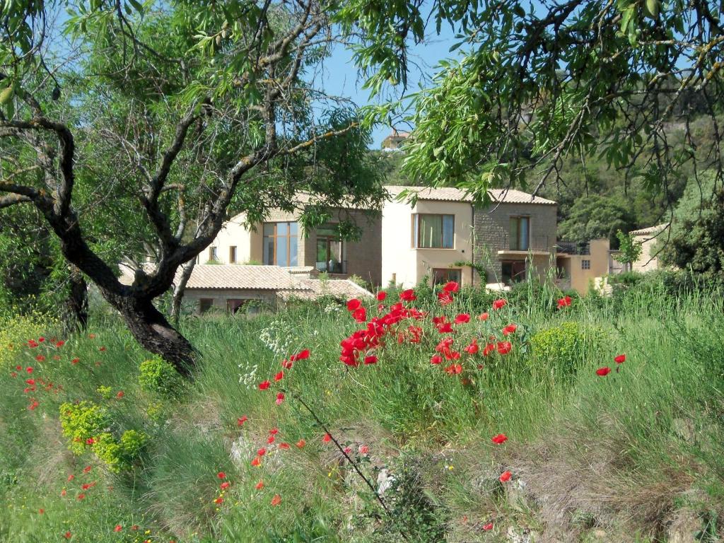 un campo de flores rojas delante de una casa en Alén D'Aragón, en Santa Eulalia de Gállego