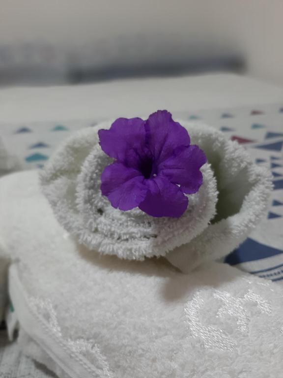  Raizes de Noronha