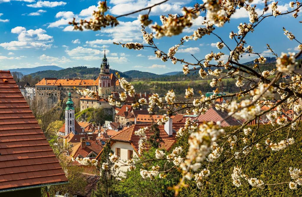 Boutique Hotel Villa Beatika - Resim 13