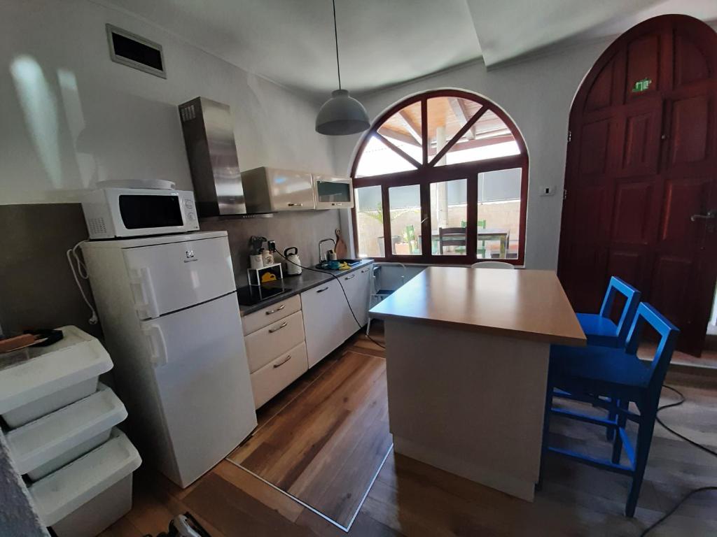 Kuchyňa alebo kuchynka v ubytovaní Apartment Mamut