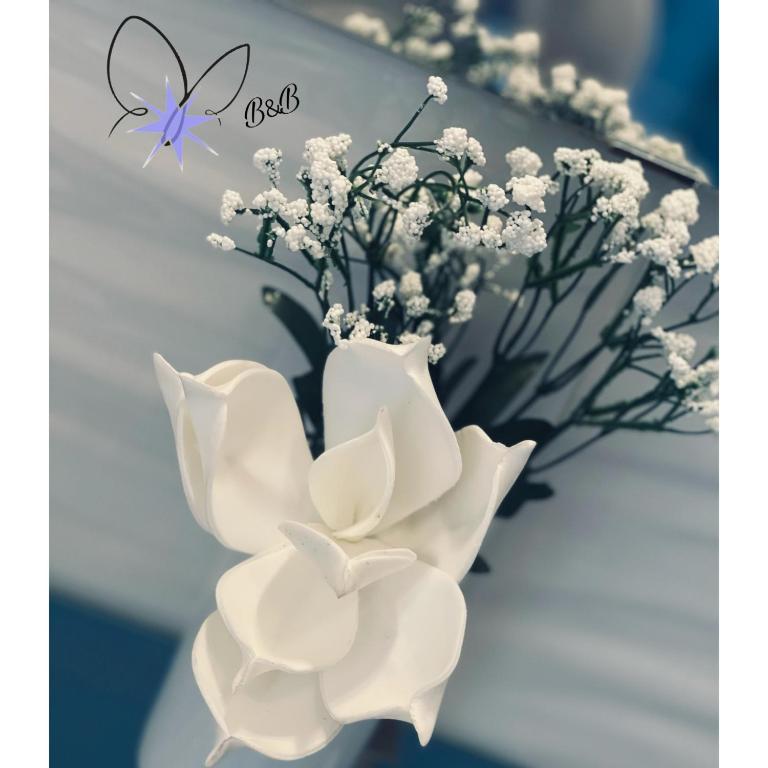 B&B Stella in Centro - 12