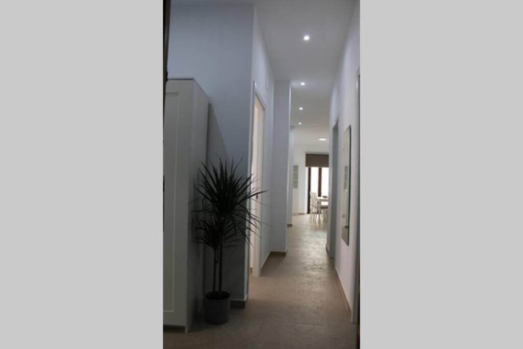 Fotografie z fotogalerie ubytování Apartamento centro Lorenzo Borrego v destinaci Ronda