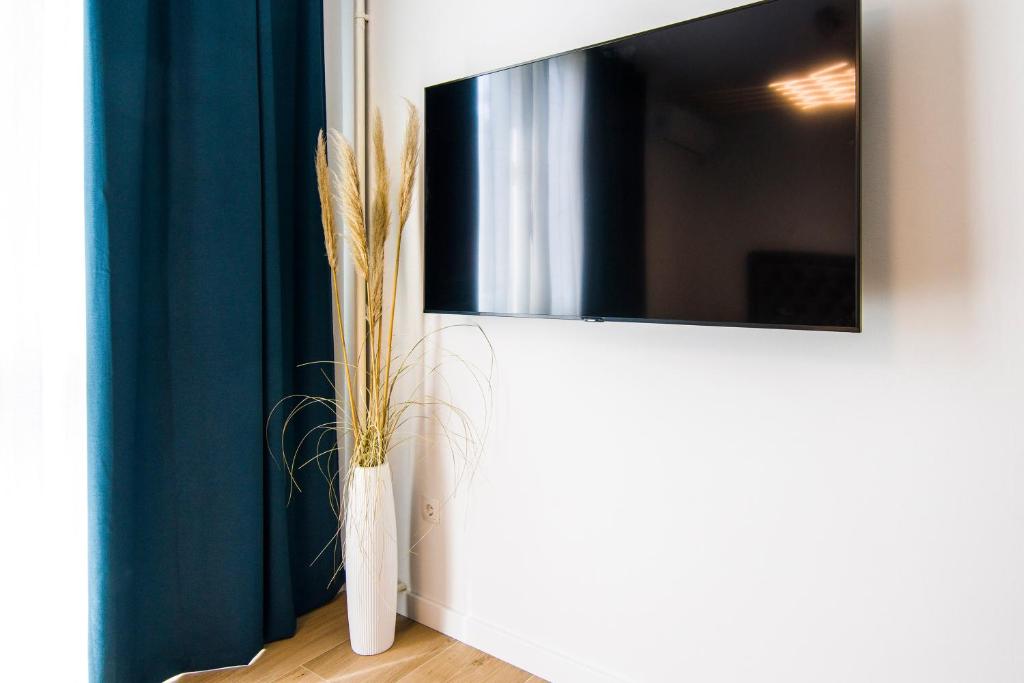 Televízia a/alebo spoločenská miestnosť v ubytovaní RC Apartment
