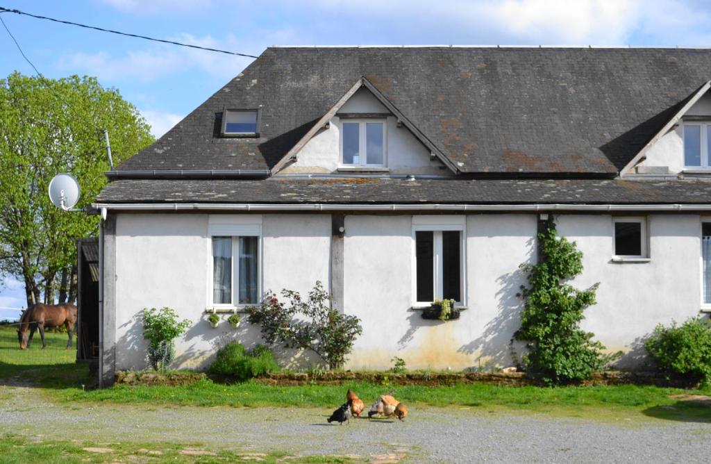 Tre gatti seduti di fronte a una casa bianca di accommodation à la ferme - appartement et mobilhome a Lubersac